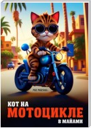 Кот на мотоцикле в Майами