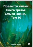 Прелести жизни. Книга третья. Смысл жизни. Том 10