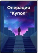 Операция «Купол»