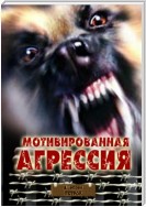 Мотивированная агрессия