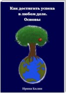 Как достигать успеха в любом деле. Основы