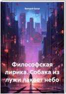 Философская лирика. Собака из лужи лакает небо