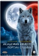 Академия Иммерсии: Портал судьбы
