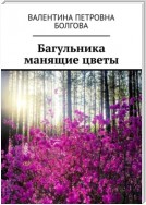 Багульника манящие цветы