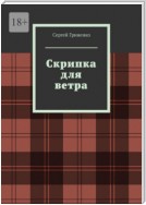 Скрипка для ветра