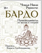 Бардо. Путеводитель по жизни и смерти