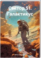 Сектор 51. Галактикус