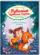 Рубиния Чудесное Сердце, смелая девочка из рода лесных эльфов. Тайна чёрных перьев