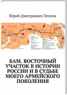 БАМ. Восточный участок в истории России и в судьбе моего армейского поколения