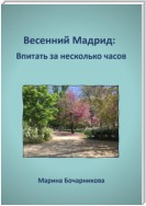 Весенний Мадрид: Впитать за несколько часов