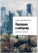 Переправа в кибермир. Примерный карьерный справочник