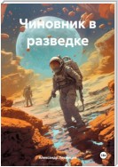 Чиновник в разведке