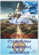 Цивилизация. Руководство для молодых политиков