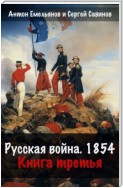 Русская война. 1854. Книга 3