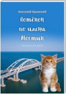 Котенок по имени Мостик