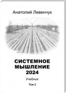 Системное мышление 2024. Том 2