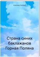 Страна синих баклажанов Горная Поляна