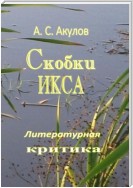 Скобки икса. Литературная критика