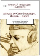 Антуан де Сент-Экзюпери. Жизнь – полёт. Маленькие рассказы о большом успехе