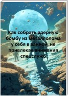 Как собрать ядерную бомбу из металлолома у себя в ванной, не привлекая внимания спецслужб