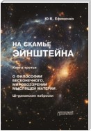 На скамье Эйнштейна. Книга 3. О философии бесконечного, мировоззрении мыслящей материи. Штурманские наброски