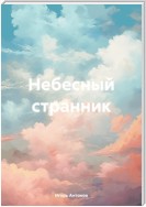 Небесный странник