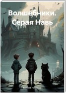 Волшебники. Серая Навь