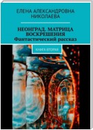 Неонград. Матрица воскрешения. Фантастический рассказ. Книга вторая