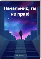 Начальник, ты не прав!