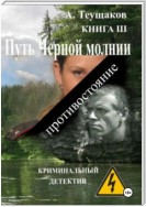 Путь Черной молнии 3