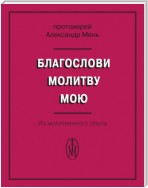 Благослови молитву мою. Из молитвенного опыта