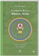 Симфония жизни. Факел Агни. Книга четвертая. Круг второй