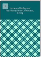 Маленький казус большого босса