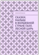 Сказки. Малыш в волшебной стране Галл. Лесной царь