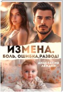 Измена. Боль. Ошибка. Развод