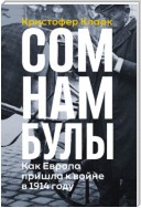 Сомнамбулы: Как Европа пришла к войне в 1914 году