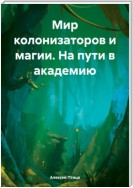 Мир колонизаторов и магии. На пути в академию