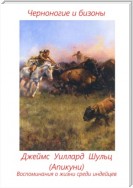 Черноногие и бизоны. Воспоминания о жизни среди индейцев