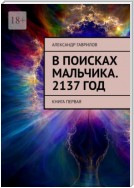 В поисках мальчика. 2137 год. Книга первая