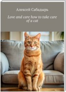 Love and care how to take care of a cat