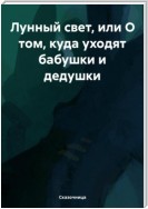 Лунный свет, или О том, куда уходят бабушки и дедушки