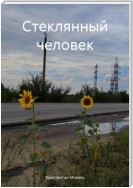 Стеклянный человек