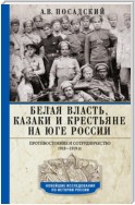 Белая власть, казаки и крестьяне на Юге России. Противостояние и сотрудничество. 1918—1919