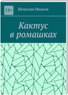 Кактус в ромашках. Повесть