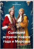 Сценарий встречи Нового года и Морозко