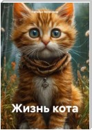 Жизнь кота