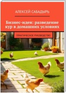 Бизнес-идея: разведение кур в домашних условиях. Практическое руководство