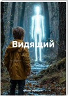 Видящий