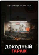 Доходный Гараж. Практическое руководство по организации бизнеса на гаражной недвижимости