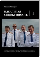 Идеальная совокупность. Том 1